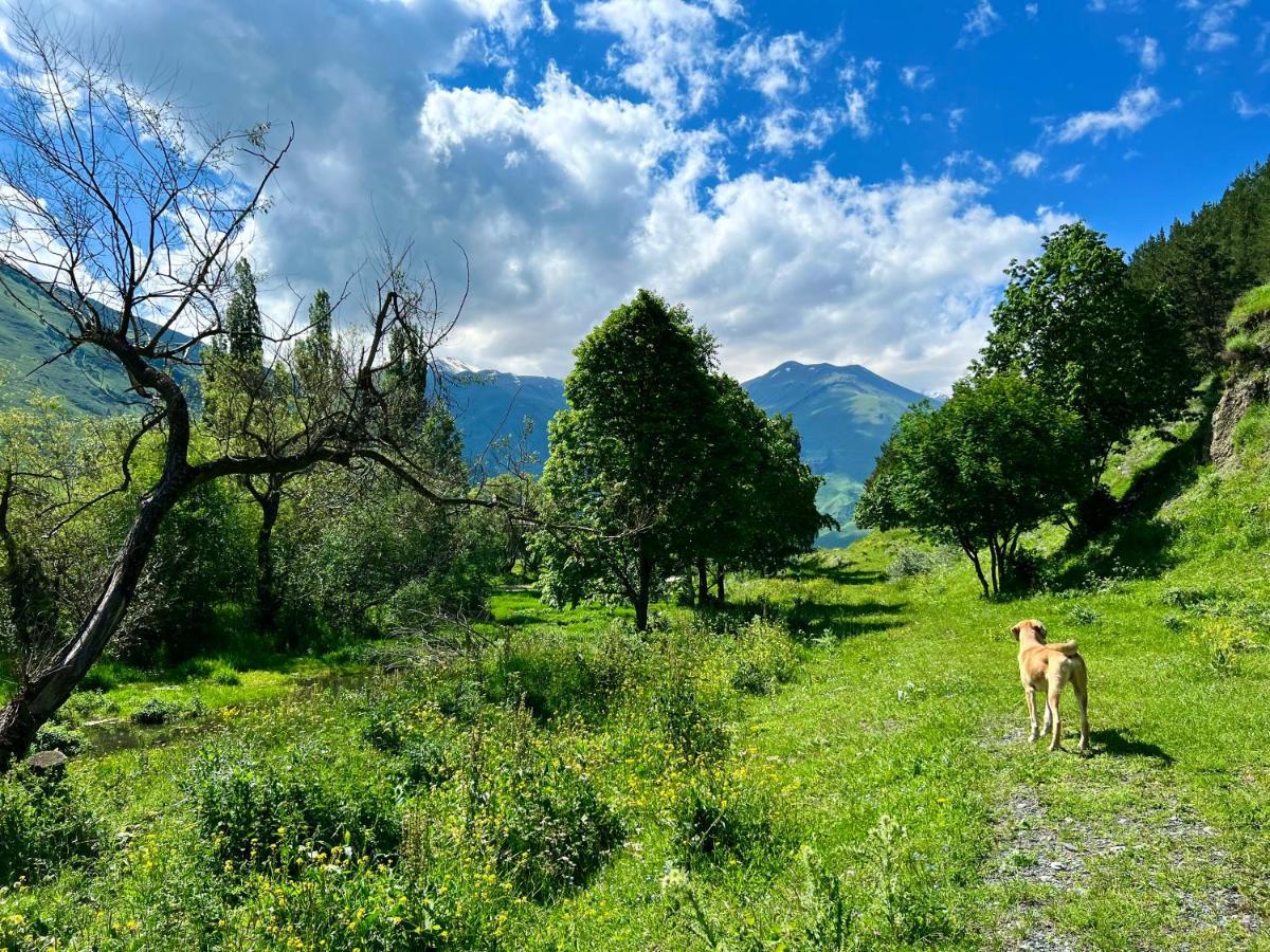 Willa Sno Woodland Zewnętrze zdjęcie