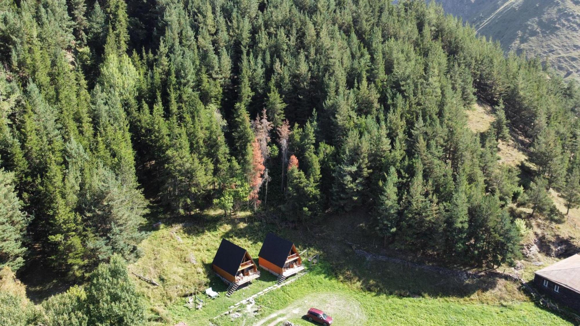 Willa Sno Woodland Zewnętrze zdjęcie