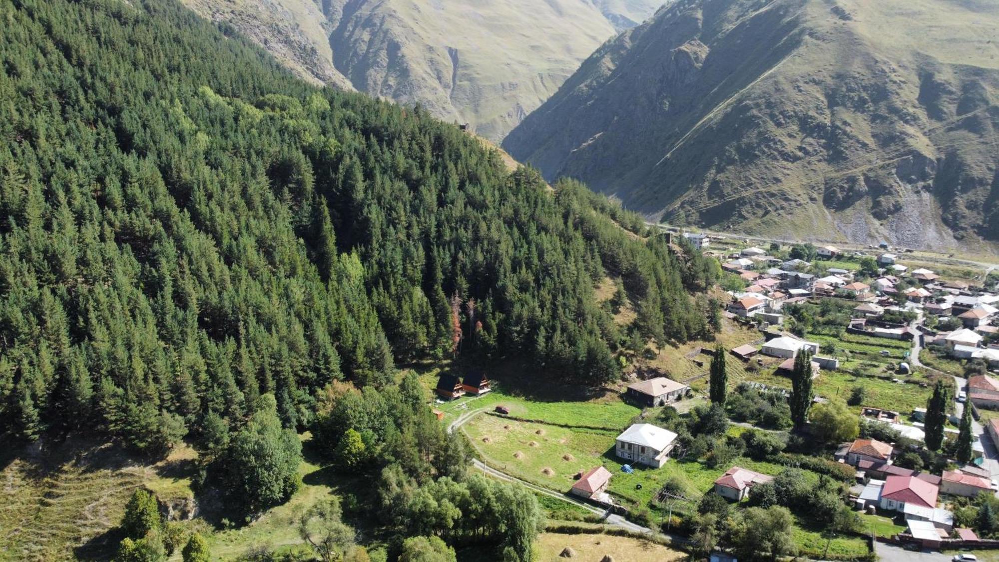 Willa Sno Woodland Zewnętrze zdjęcie